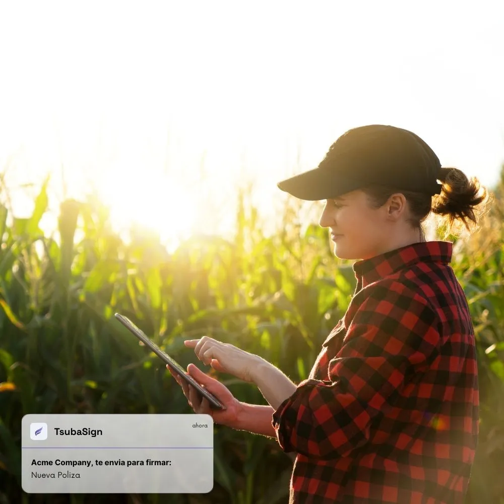 TsubaSign electronic signature verification levels